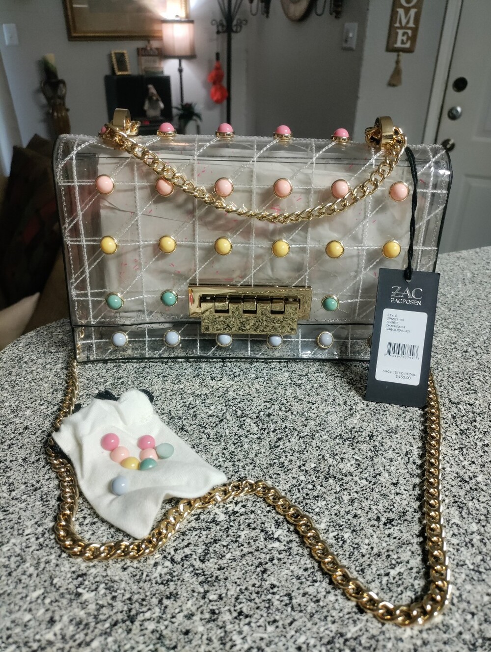 NWT ZAC Zac Posen Clear Bag **See Description**